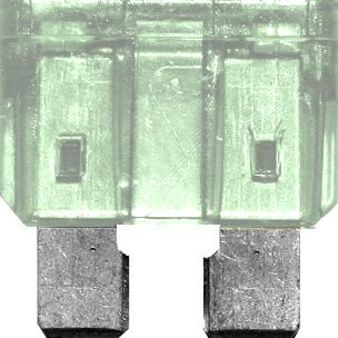 2 Amp Fuse (50 pk) - RE-WIRES NZ