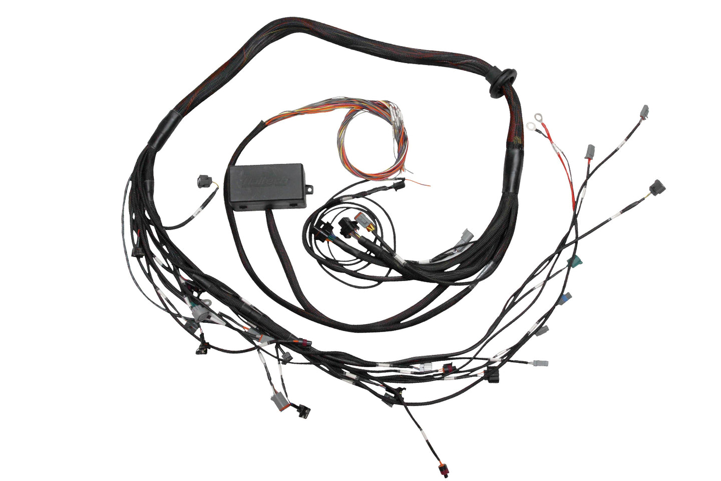 Haltech Elite 2500 Toyota 2JZ Terminated Engine Harness