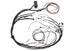 Elite 1500 Mazda 13B S4/5 CAS with IGN-1A Ignition Terminated Harness