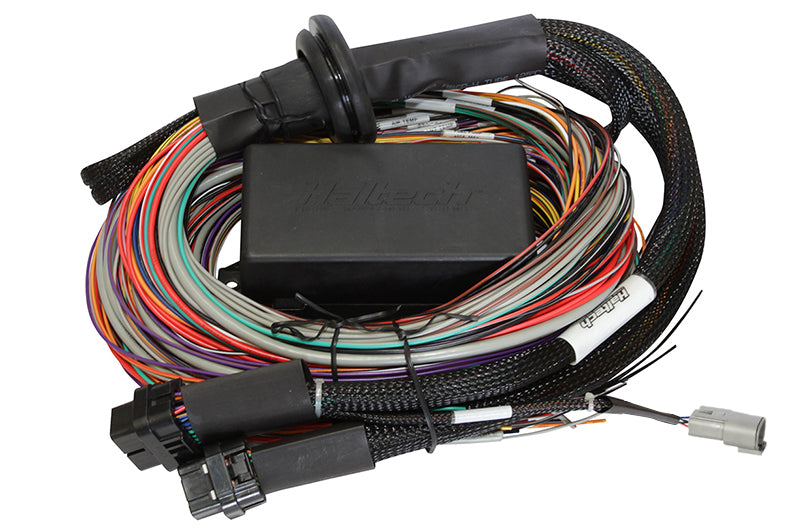 Elite 2500 & 2500 T Premium Universal Wire-in Harness  Length: 2.5m (8')