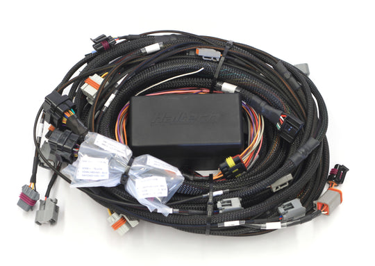 Elite 2500 GM GEN III LS1 & LS6 (DBW Retrofit Ready) Terminated Harness