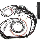 Elite 2500 + Terminated Harness Kit For Ford Falcon FG Barra 4.0L I6  Injector Connector: Factory Bosch EV1