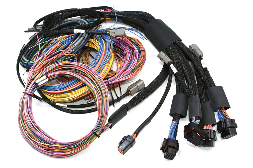 Haltech - Nexus R5 Nexus R5 + Universal 5.0m Wiring Harnesses